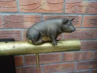 PIG TILLER PIN (5)